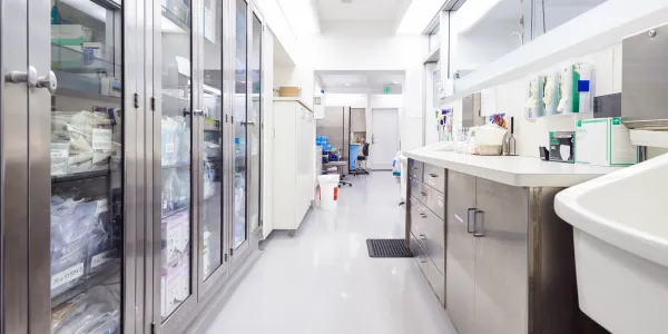 medical-healthcare