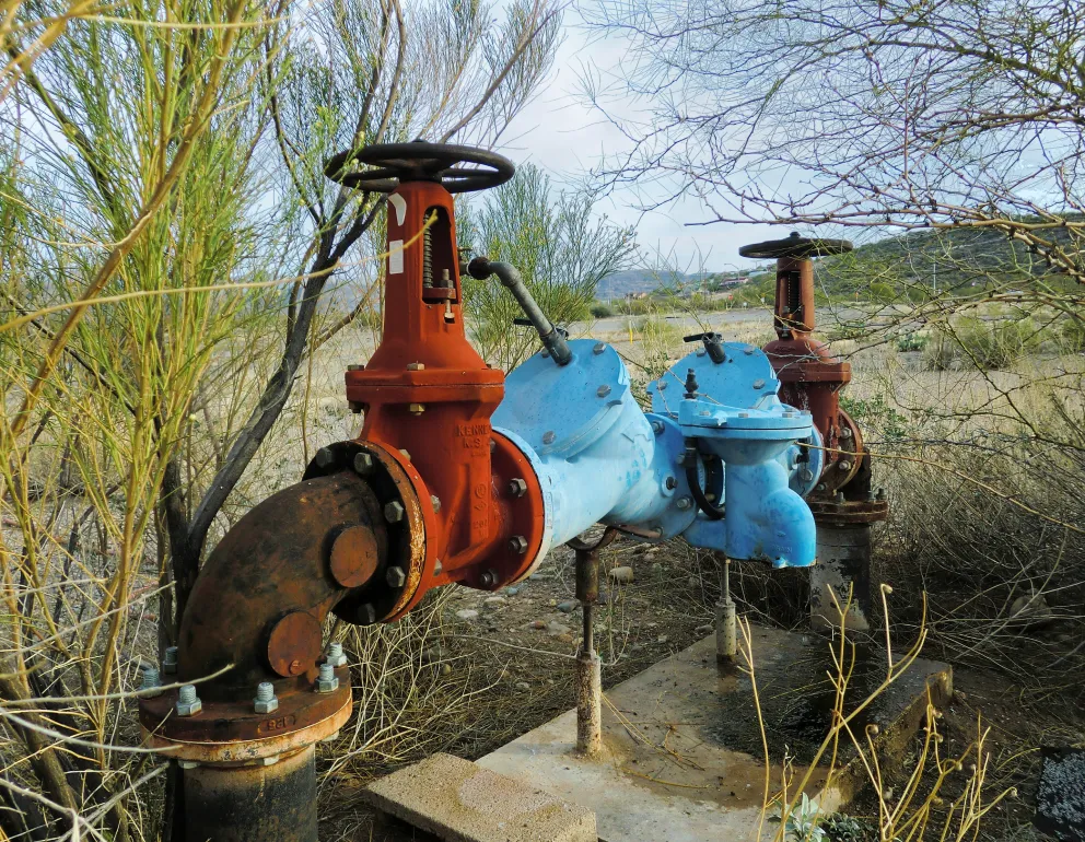What is backflow preventer testing